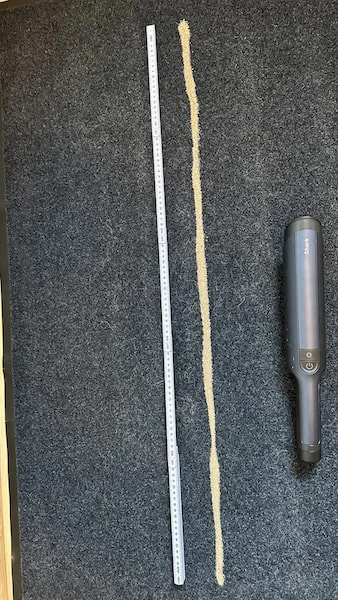 Prima dell'inizio del test di pulizia dei tappeti