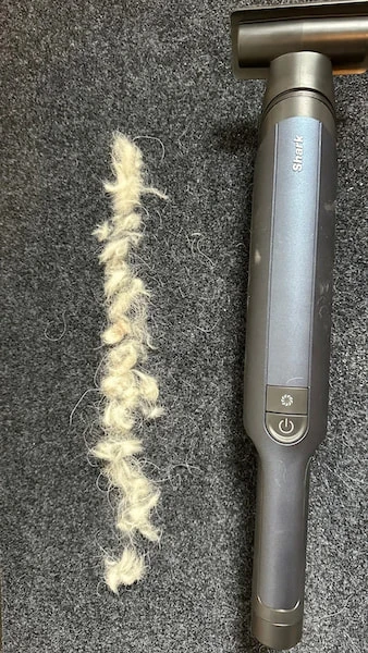 Poco prima del test di pulizia dei peli di animali domestici