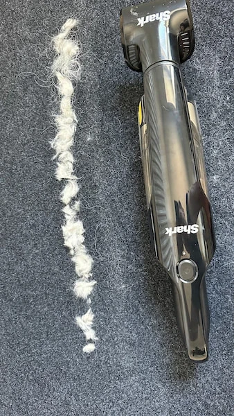 Lige før testen med fjernelse af dyrehår startede