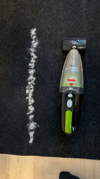 Voor de test van het opzuigen van dierenharen