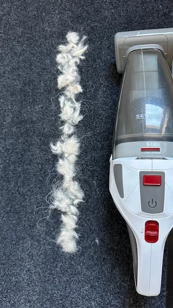 Prima dell'inizio del test di rimozione dei peli di animali domestici